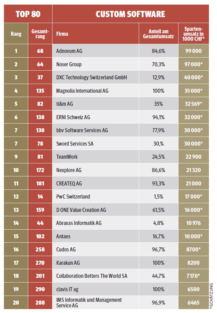 Ranking_CustomSoftware2025